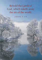 Scenic and Floral Scripture Greetings Correspondence Pack: 4x6 CFS Set, Assorted Scenes and Verses, Blank Inside by TBS