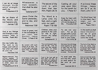 Bible Text Self-Adhesive Verse Sticker Pack: 100 Assorted Verses