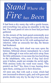 Stand Where the Fire Has Been