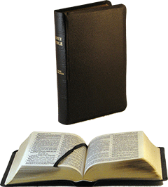 JND Bible: Modified-Notes Edition, Minion Type (Medium) by Darby Translation