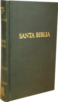 Spanish Santa Biblia Holman de Bolsillo: B&H 005155241 by RV 1909