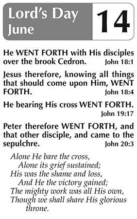 Sample page 5