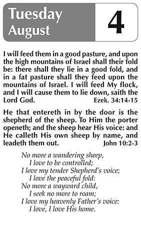 Sample page 5