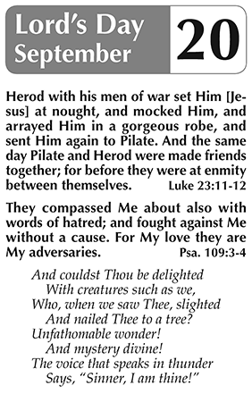 Sample page 3