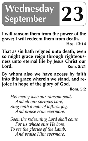 Sample page 2