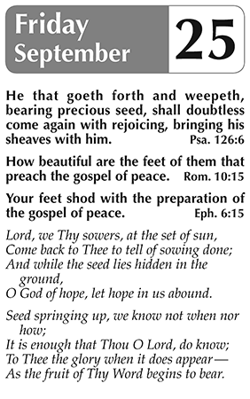 Sample page 4