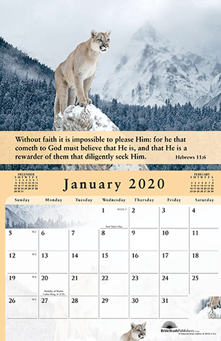 The Gospel Of Peace Scenic Appointment Calendar 8101 - 