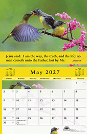 2027 The Gospel of Peace Scenic Appointment Calendar: With Monthly Gospel Verses