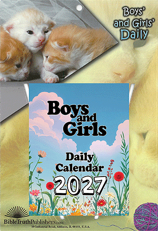 2027 Boys and Girls Daily Calendar: Complete