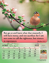 Image slide carousel