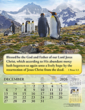 Image slide carousel