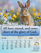 Image slide carousel