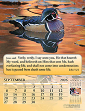 Image slide carousel