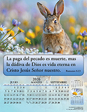 Image slide carousel