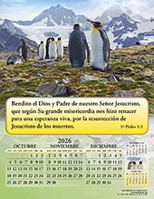 Image slide carousel