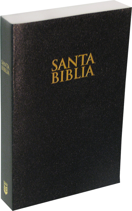 biblia png