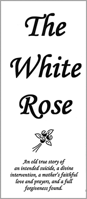The White Rose by Mr. Hadlow