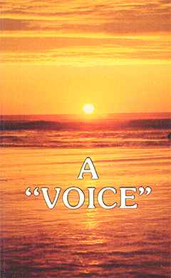Echoes of Grace: "A Voice"