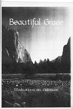 Meditations on the Epistle to the Galatians: Beautiful Grace by George Christopher Willis