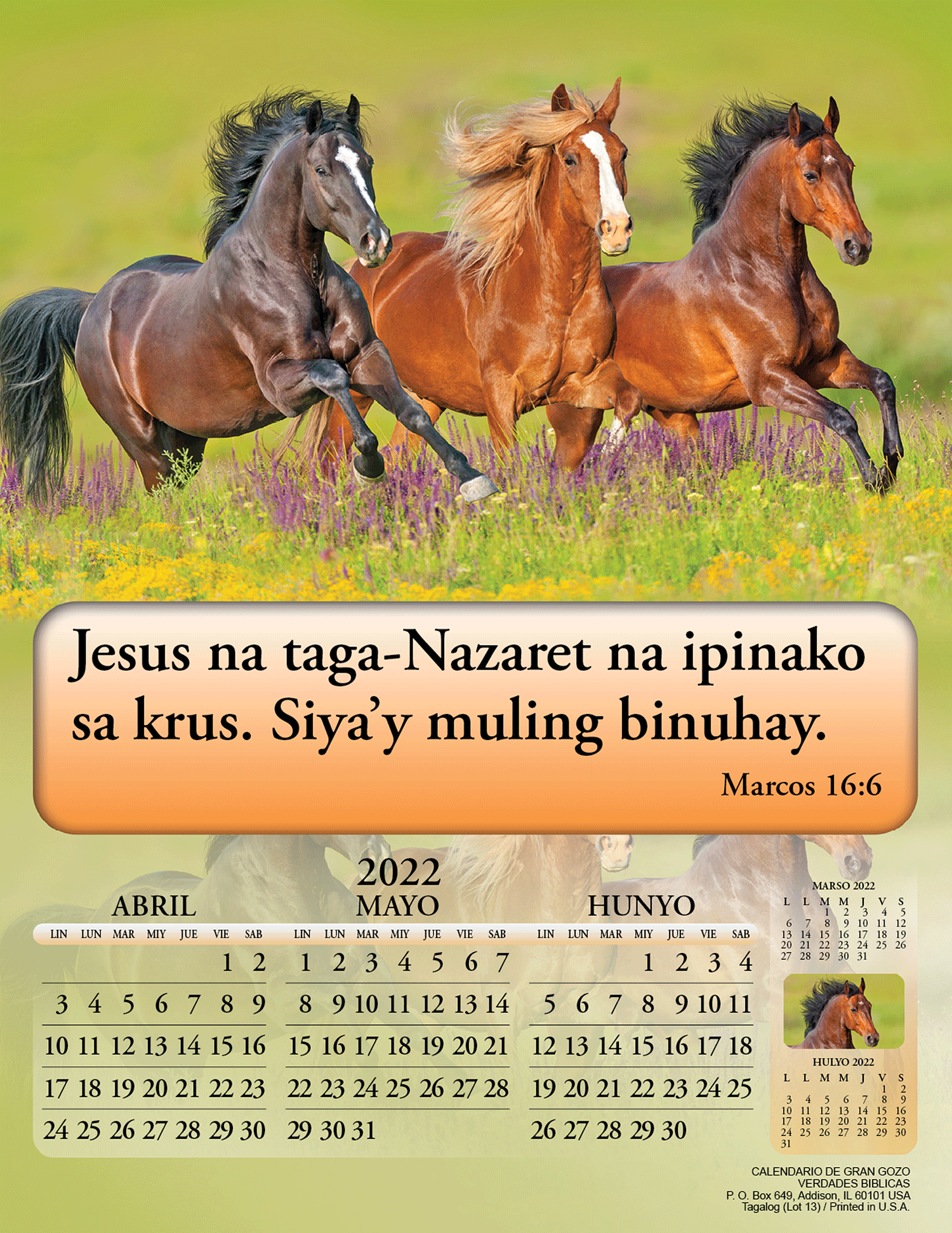 alog Joyful News Gospel Calendar 3878 Bible Truth Publishers