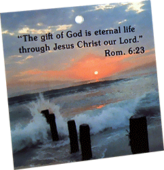 Laminated Gospel Text Card: Dawn Seashore