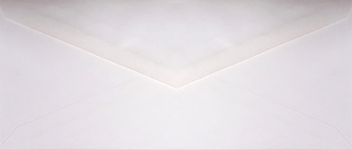 Gospel Brochure and Correspondence Envelope Dozen Pack: #9 Plain