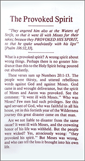 The Provoked Spirit by C.G. M.