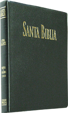 Spanish Sbu Santa Biblia Abs Letra Grande, Rvr 1960 (#4281) - Bible 