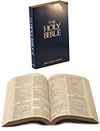 Hendrickson Economy Text Bible by King James Version