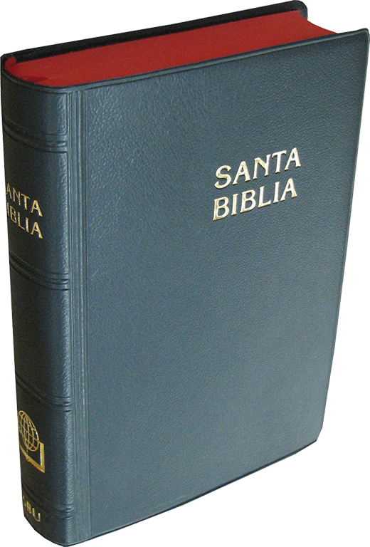 Whitaker House: Bible Cover-Amazing Grace-Two-Tone Black/Tan