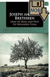 Joseph and His Brethren: How He Won and Why He Wounded Them by F.T. Heath