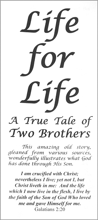 the two brothers story