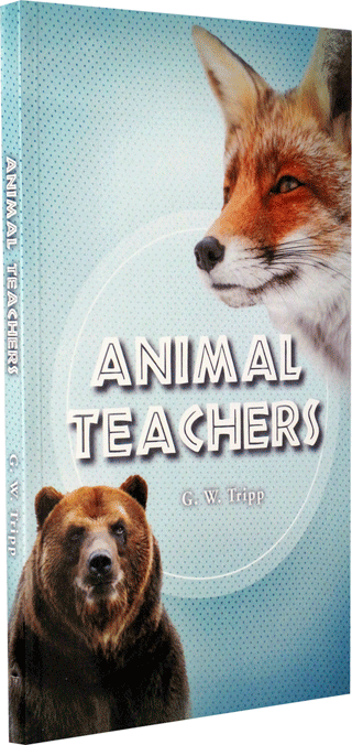 Animal Teachers by G.W. Tripp