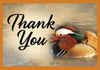 Thank You Tip Card: Mandarin Duck