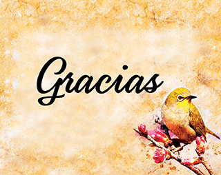 Spanish Gracias