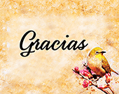 Spanish Gracias