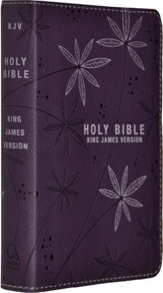 Christian Art Compact Text Bible: KJV004 by King James Version