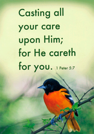 5" x 7" Small Frameable Text Card: (Oriole) Casting all your care upon Him; for He careth for you. 1 Peter 5:7 by IBH