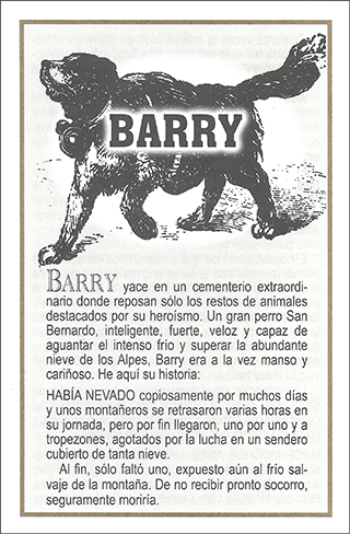 Barry: El perro de rescate