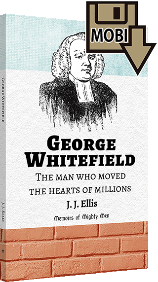 George Whitefield by James Joseph Ellis