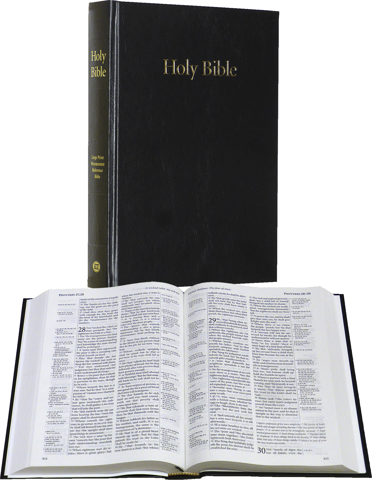 TBS Westminster Large Print Side-Column Reference Bible, KJV