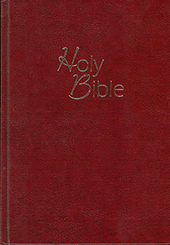 NDV Paragraphed Text Bible: Ashriel GBV 1031000 by New Darby Version