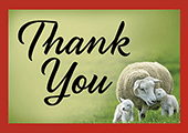 Thank You Tip Card: Sheep