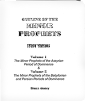 Outline of the Minor Prophets: Volumes 1 & 2 by Stanley Bruce Anstey