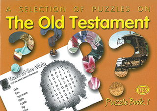 Puzzle Books Series #1 4-Pack: Bible Themes by TBS