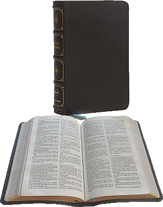 Nelson Maclaren Compact Comfort Print Text Bible: CVBK