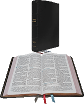 Nelson Maclaren Larger Comfort Print Page-Base Reference Bible: GLBK