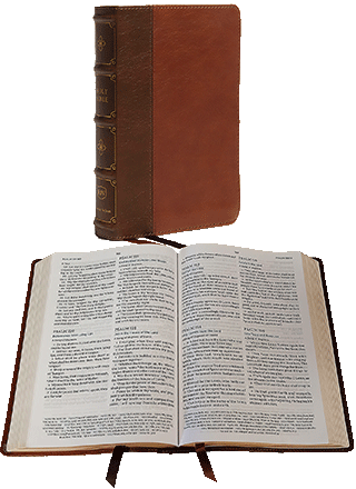Nelson Maclaren Larger Comfort Print Page-Base Reference Bible: VBR