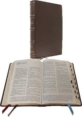 Nelson Maclaren Larger Comfort Print Page-Base Reference Bible: GLBRI