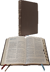Nelson Maclaren Larger Comfort Print Page-Base Reference Bible: GLBRI